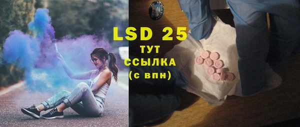 ПСИЛОЦИБИНОВЫЕ ГРИБЫ Баксан