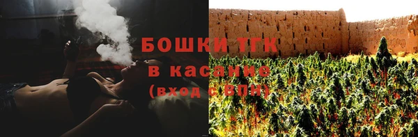 ПСИЛОЦИБИНОВЫЕ ГРИБЫ Баксан